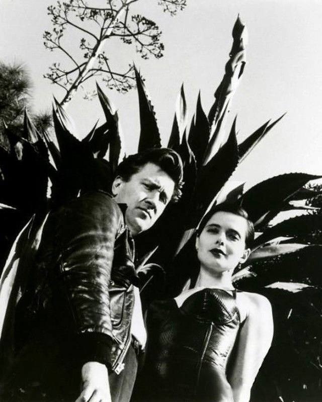     .    .       ... - 4