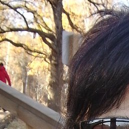 �����, ��������, 46 ���