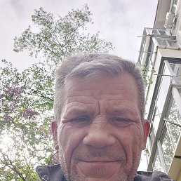 , 54 , 