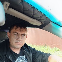 , 33, 