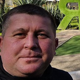 �������, ���������, 40 ���