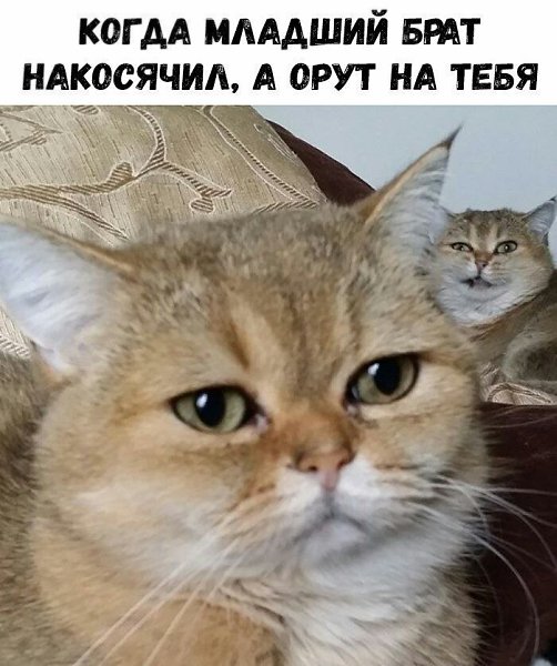    - 21  2023  11:39