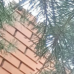 ���������, ������, 36 ���