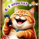 ���� ����, �����, 55 ��� - ��������� 27 ������ 2026