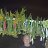 ���� ���������, ������, 59 ��� - ��������� 3 ������ 2026