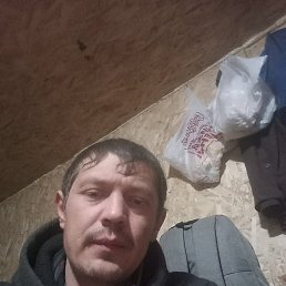 , 30, 