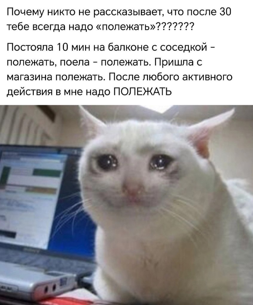   - 19  2025  15:05