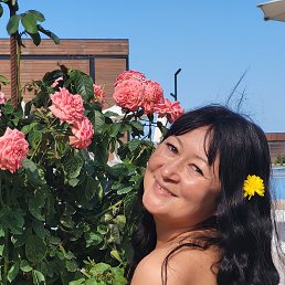 , 46, -