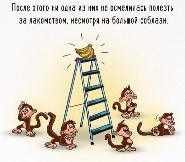 ����� ������� � ��������� ������ - 4