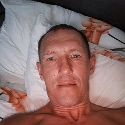 , 41, 