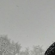 �����, 27 ���, ��������