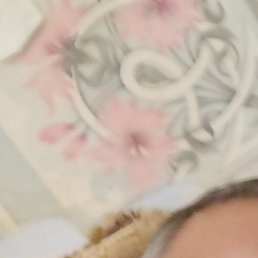 , , 57 