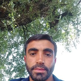 , 31, 