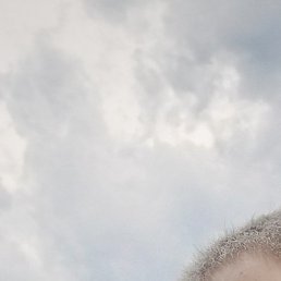 ���, ������, 44 ����