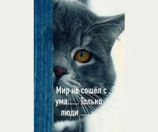 ОБО ВСЕМ - 25 августа 2025 в 12:46