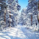 ���� �������, ������, 31 ��� - ��������� 21 ������� 2023 � ������ ���� ����������