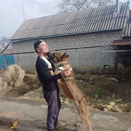 ���� ������ �������, ���������, 50 ��� - ��������� 7 ������� 2024