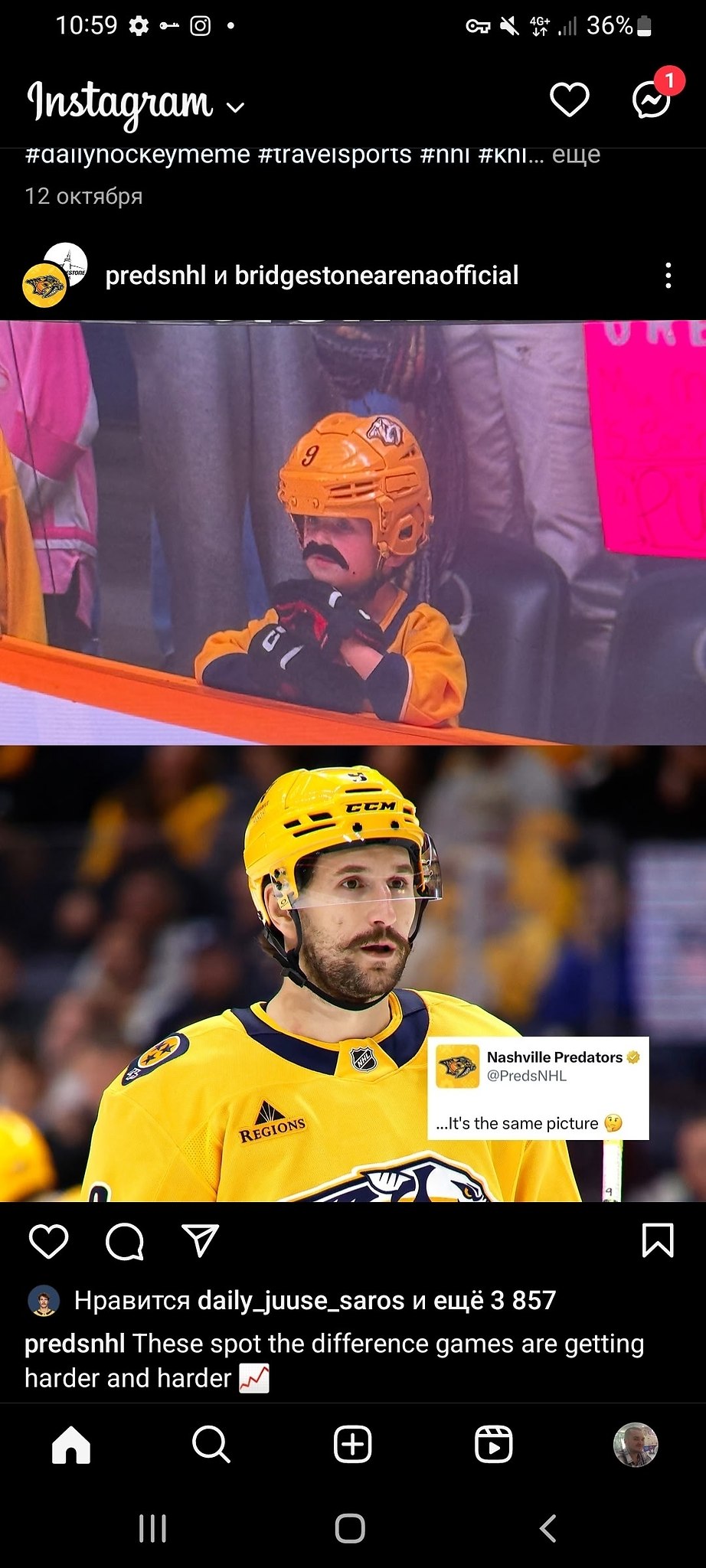 # # #nhl #preds #nashville #nashvillepredators #nashville_predators #predstors # #humor ...
