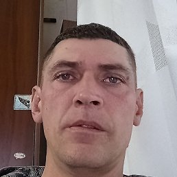 ���� ��������, �����, 41 ���