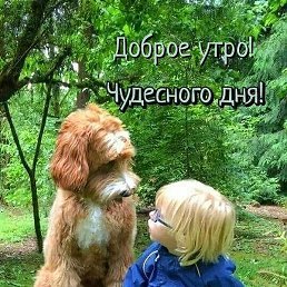 ������, ���������, 66 ���