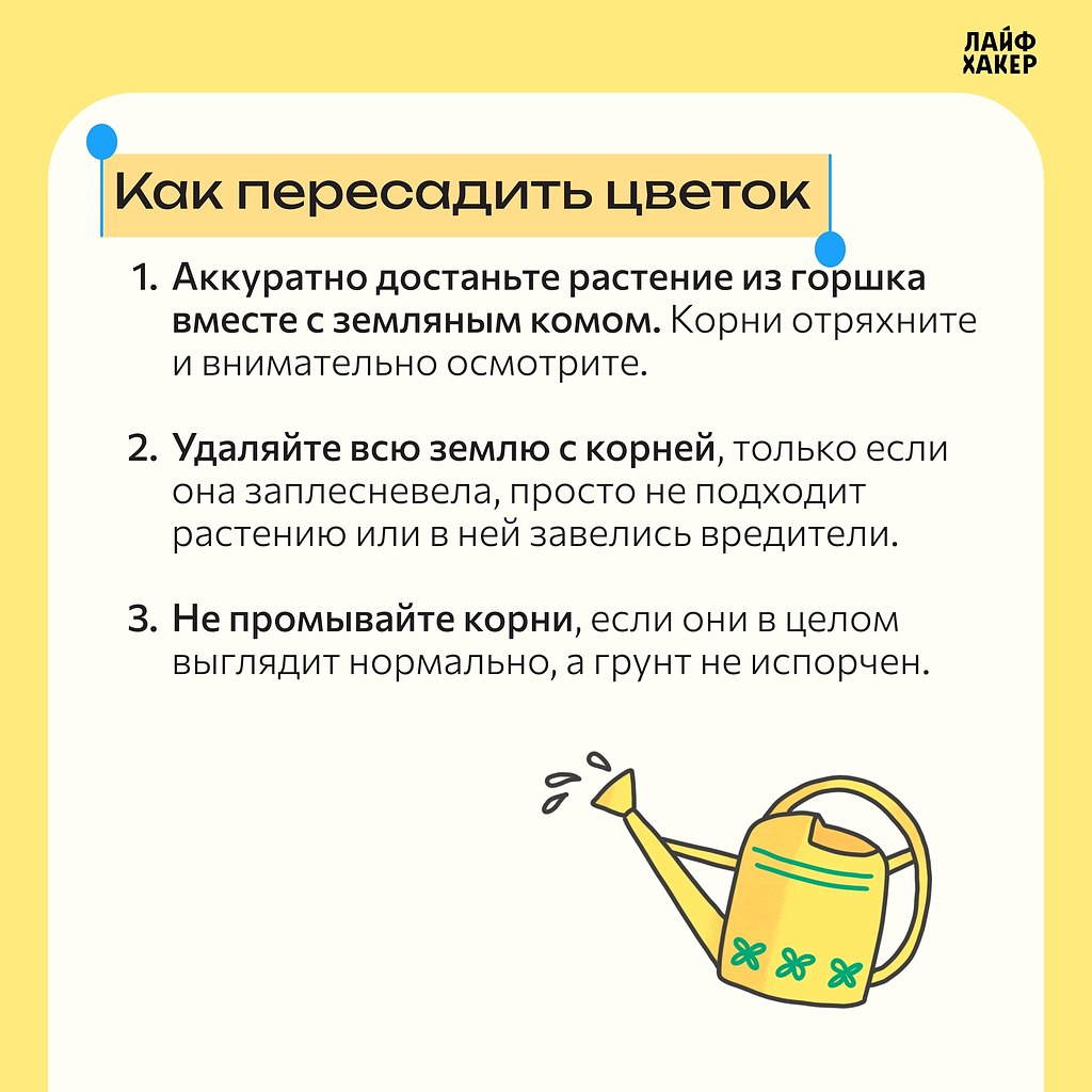 ����� � ����� ����� ������������ ��������.� ��� ������� ��� ���, ����� �� ������������ �������, ... - 5