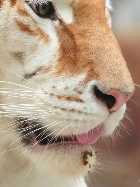 ,  .  4 ,   -  .  ,    ... - 4