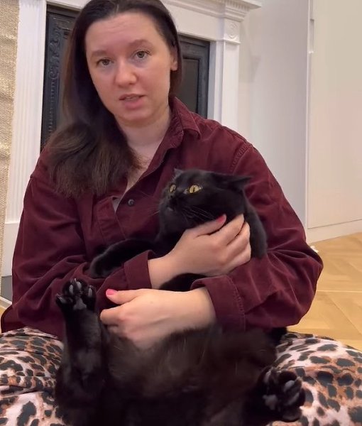 С такими ценами в Англии можно обойтись и без кота. А вы что думаете? - 2