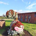 ���� Zainap, ������ - ��������� 1 ���� 2026