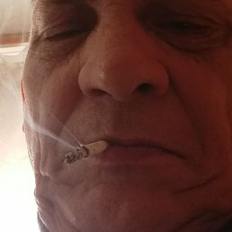 ������, ����, 54 ����