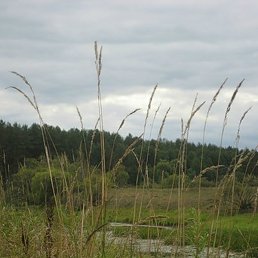 �����, ������, 59 ���