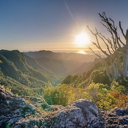 ���������, ������, 33 ����