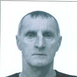 , 55, 