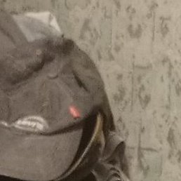 ������, ����, 48 ���