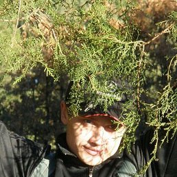 ��������, �����������, 41 ���