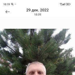 , 48, 