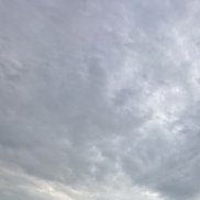 , 43 , 