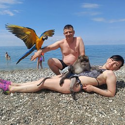 �����, 39 ���, ���
