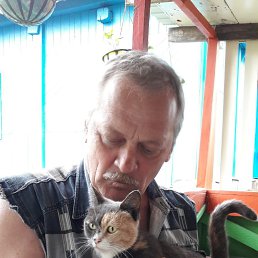 , 64 , 