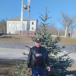 , 41, 