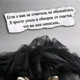 ���� �����, ����� - ��������� 17 ������ 2024