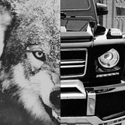 �����, 40 ���, ���������