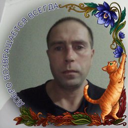 ���� �������, ������, 41 ��� - ��������� 28 ������� 2026