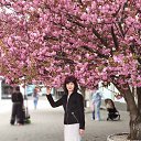 ���� �������, �������, 63 ���� - ��������� 6 ������ 2026 � ������ ���� ����������
