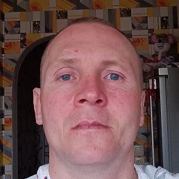 ����, �����-���������, 41 ���