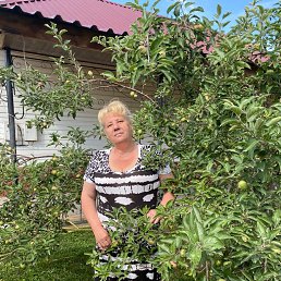 ���� �����, ������, 66 ��� - ��������� 26 ������ 2026