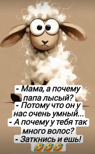  - 20  2025  12:11