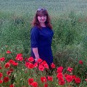 ���� �����, ���������, 44 ���� - ��������� 2 ������� 2024 � ������ ���� ����������