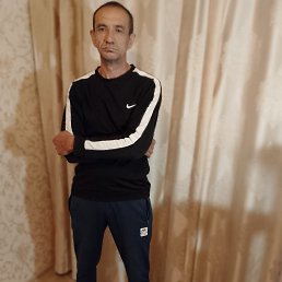 , 61, 