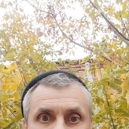 , 50 , 