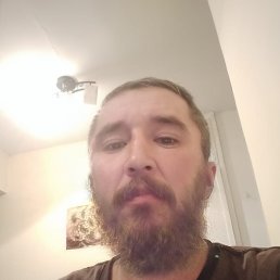 ���� �����, ������, 44 ���� - ��������� 6 ������ 2024